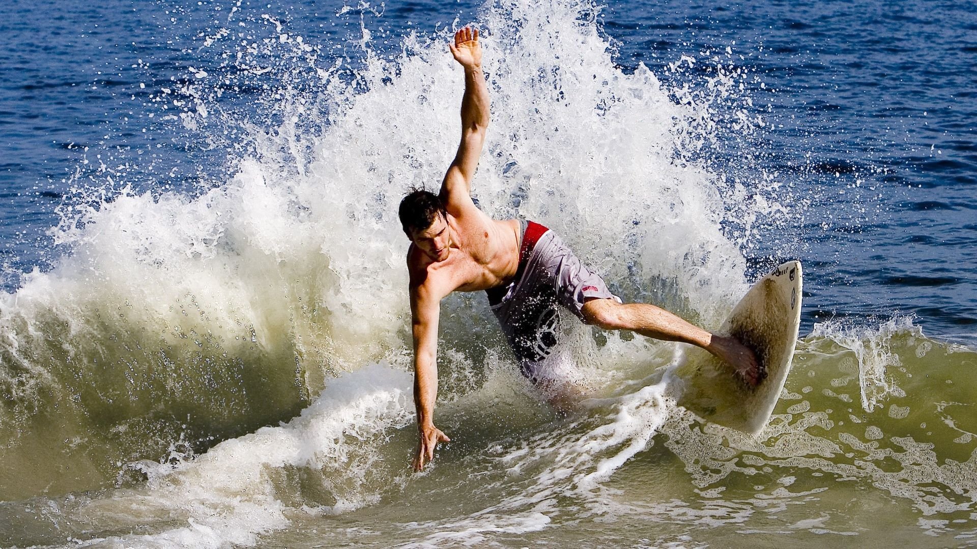 南非羚羊队：强大防守与快速反击，展现攻防平衡之美，南非羚羊银币