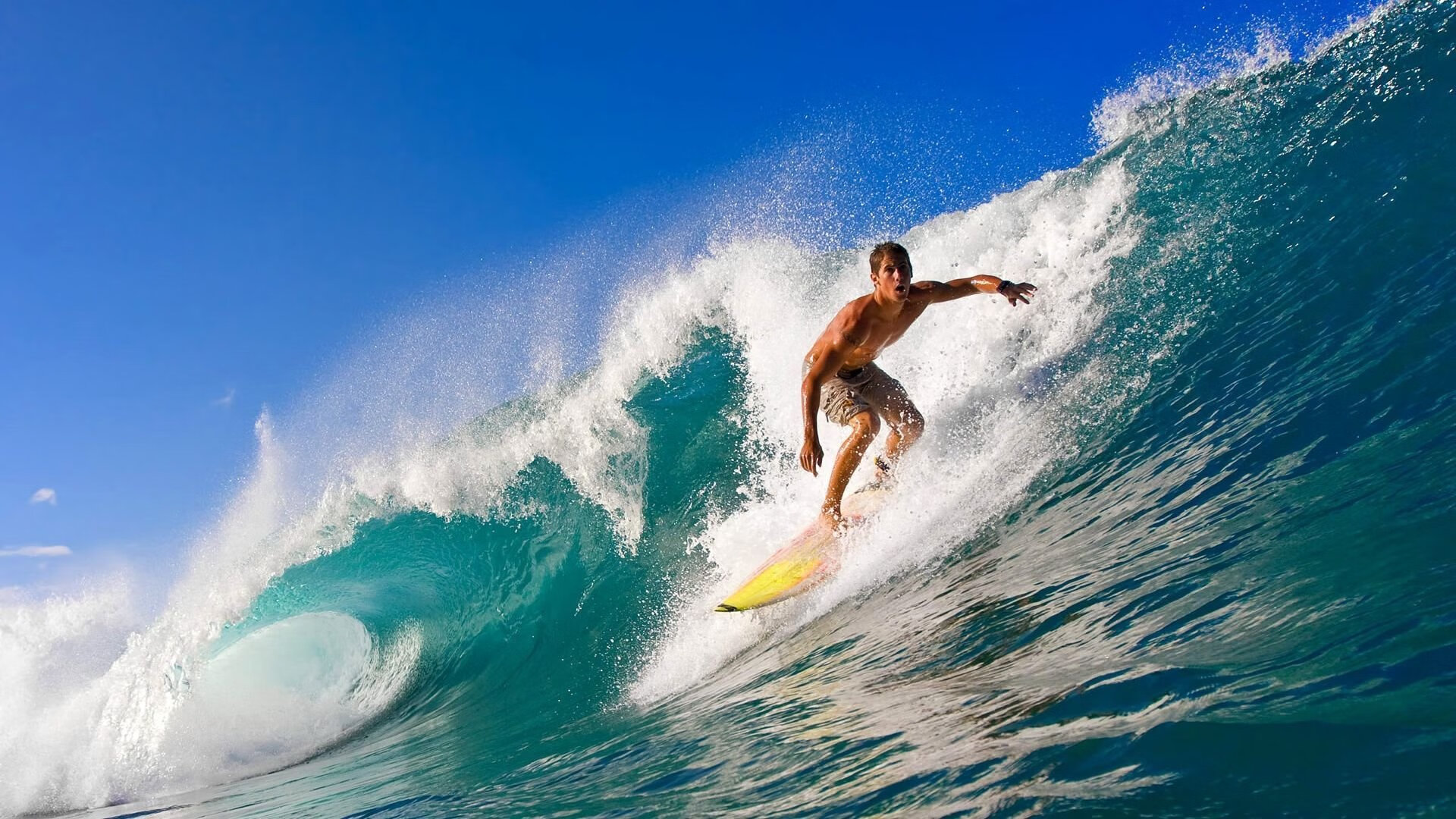 格林伍德在比赛中的卓越防守与反击速度，助袋鼠队击败对手，格林伍德什么水平